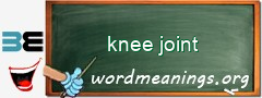 WordMeaning blackboard for knee joint